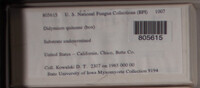 Image Associated With the Occurence